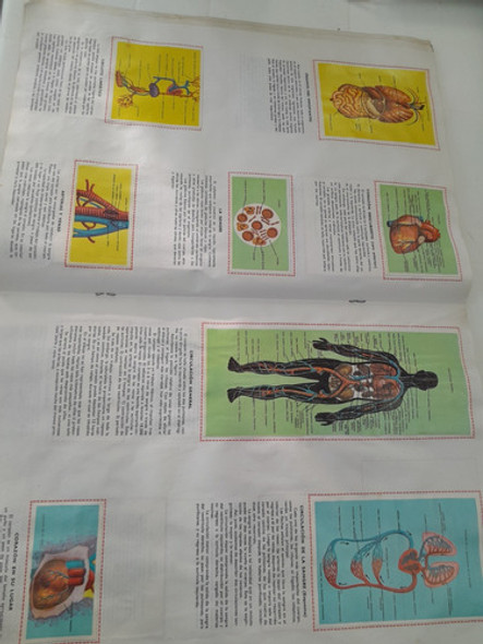 Album Figuritas Antiguo El Cuerpo Humano..leer Descripción 1