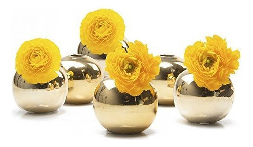 Chive Juego De 6 Jarrones Pequeños De Ceramica Para Flores 0