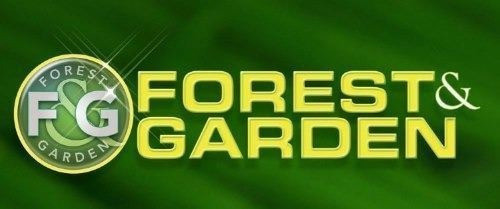 Motobomba A Nafta Forest & Garden Pro 9hp 242cc - Mg8040/2 1