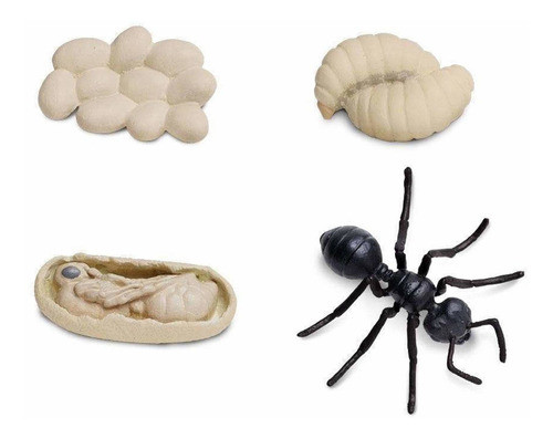 Ciclo De Vida Hormiga Juguete Safari Didáctico Niño Atrix ® 1