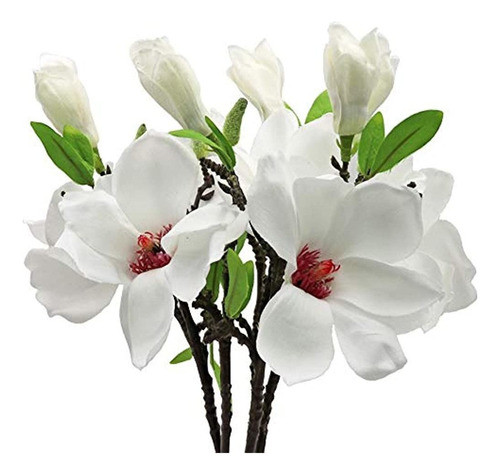 ~? Minyulua 5 Uds Flores De Magnolia Artificiales Flores De 0