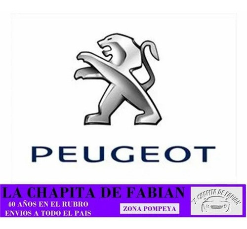 Alma De Paragolpe Delantero Peugeot 307 2001 / 2006 M/viejo 1
