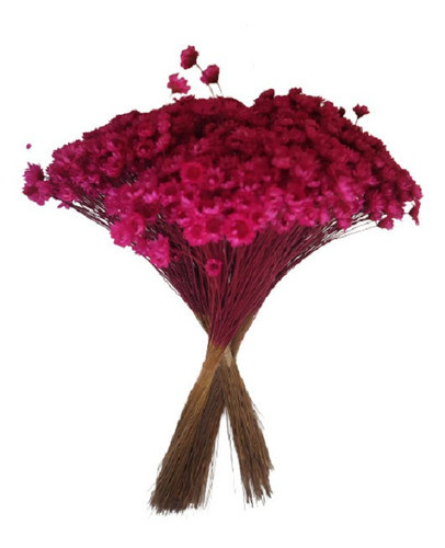 600 Sempre Vivas Decoração Casamento Lembrança Pink 1