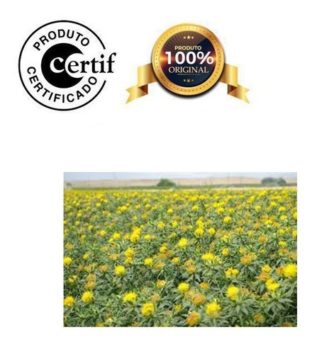 Óleo De Cártamo 5litros Prensado A Frio Com Laudo 0