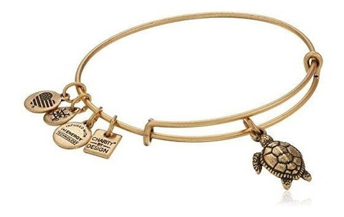 Alex And Ani Caridad Por Diseño Pulsera Con Dije De Tortuga 0
