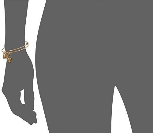 Alex And Ani Caridad Por Diseño Pulsera Con Dije De Tortuga 1