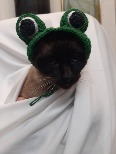 Sombrero De Sapo Para Mascotas A Crochet 1