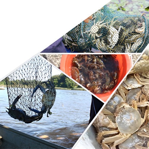 Plegable Cangrejo Trampa De Redes Cast Dip Jaula Pesca Cebo 0