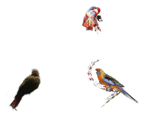 160 Cm Loro Aves Juguetes Cuerda Juguete Que Sube De Pie Lor 0