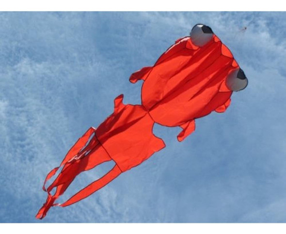 Gran Cometa 3d Parafoil Goldfish Parafoil 1