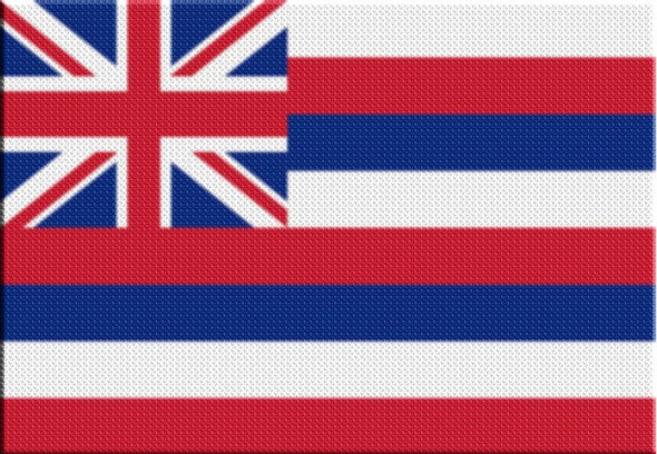 Parche Termoadhesivo Bandera Hawaii 0