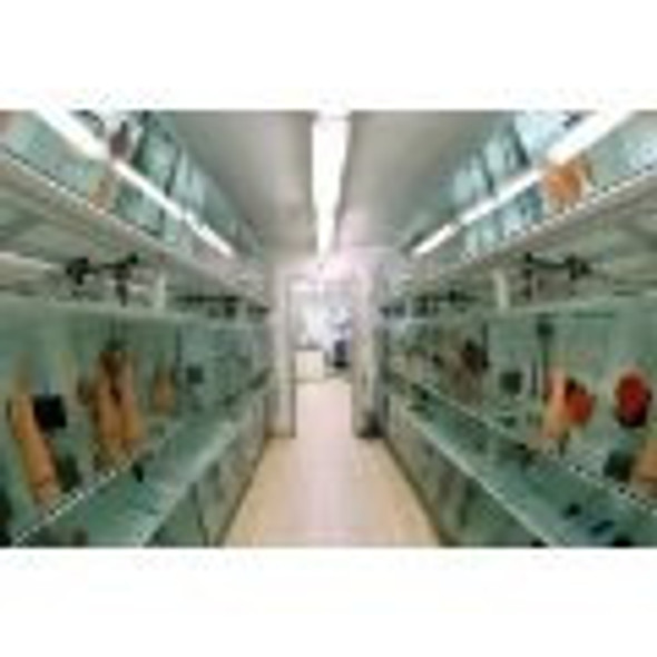 Tetra Goldfish Color 40 Grs Oferta Solo Mundo Acuatico 1