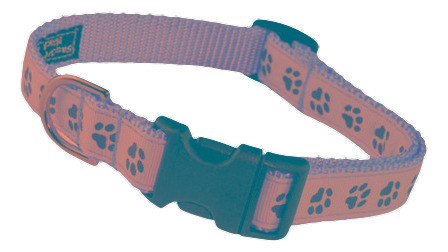 Perro Atrevido Llevar Collar Perro Ajustable 1