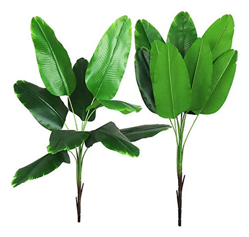 Hogar Y Cocina Productos De Decoración Del Hogar Plantas Y 0
