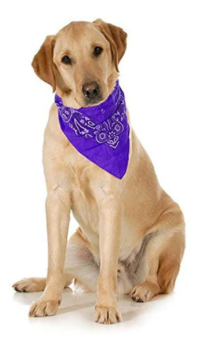 Balec Balec Pañuelo Para Perro De Algodon Paisley Paquete 1