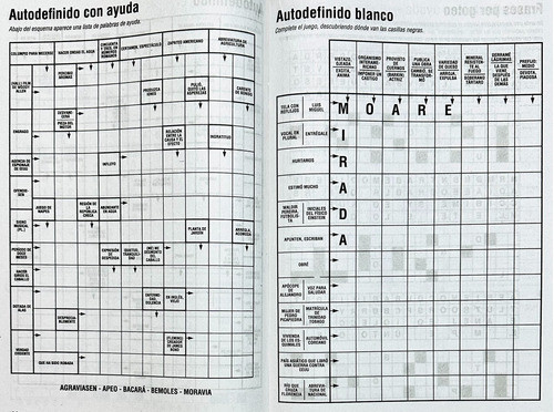 Quijote Autodefinidos Anuario Especial N° 8 - 100 Paginas 1