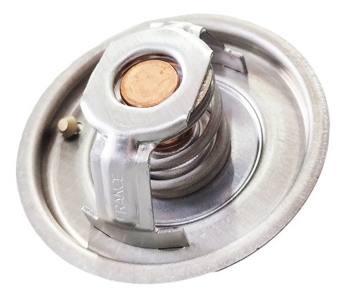 Termostato Motor Refrigeracion V837084949 M.ferguson/valtra 1
