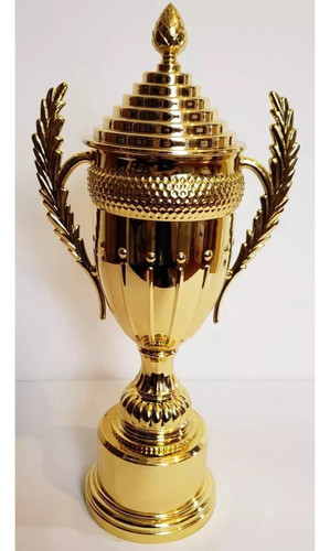 Copa Trofeo Con Asas Trofeo Premio P/ Deportes Grande 50 Cm 1