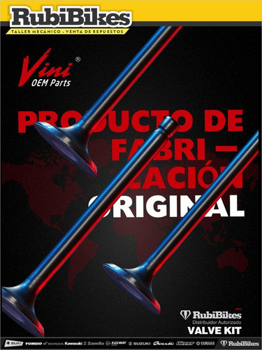 Válvulas Para Gs3 200. Vini 1