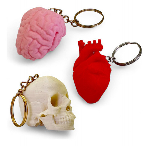 Llaveros X3 Pack Anatomia Replica Craneo Corazon Y Cerebro 0