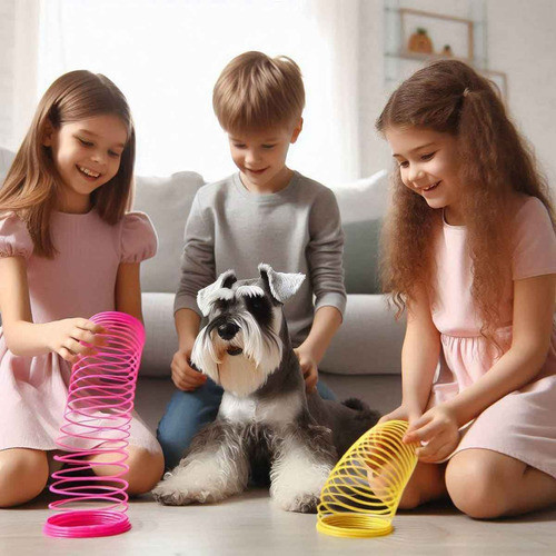 Resorte Slinky  110 Unidades 1