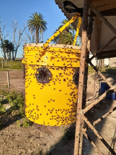Moscas. Control Ecologico Trampa Feromonas Criaderos Tambos 0