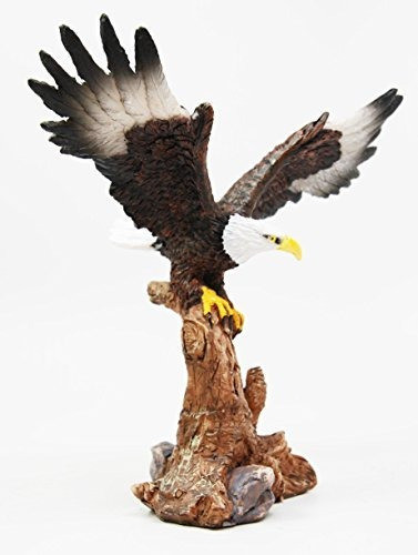 Ebros 7  De Altura Aguila Calva Que Desciende Sobre La Rama 1