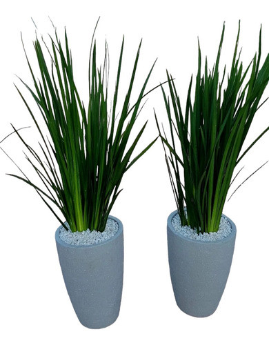 Planta Diete !! 0