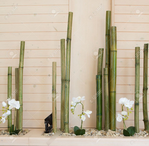 Combo Caña Gruesa Tacuaron | 150cm 1.5 Metros | Grosor 5cm 0