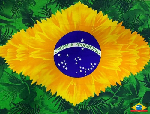 Pareo Bandera De Brasil ** Canga ** Original De Brasil!!! 1