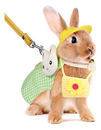 2 Juegos De Arnés De Animales Pequeños, Chaleco Y Correa, Ar 1