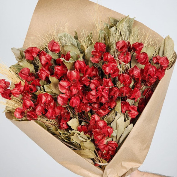 Arranjo Desidratado Bougainvillea Vermelha - Sem Vaso 1