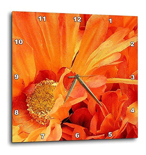 Tnmgraphics  Color Naranja Brillante Flores  Floral Pared Re 0
