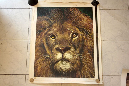Lamina Para Cuadro - Arnau - King Of The Jungle 0