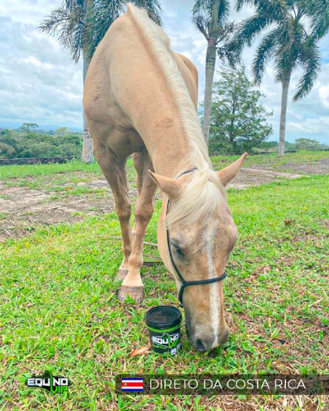 3kg Equino Vip Maximum Suplemento Cavalo Ganho De Massa 1
