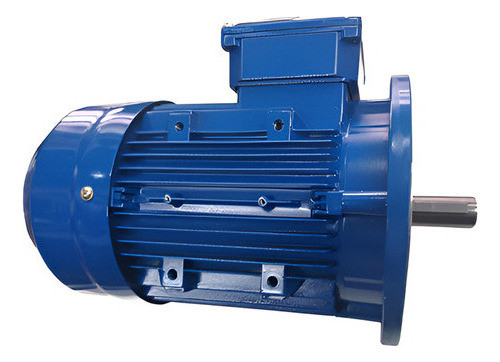 Motor Trifasico 0.25 Hp 1400 Rpm C / Brida B5 0