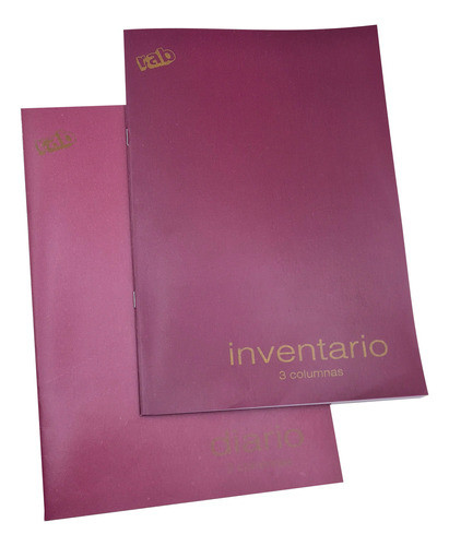Combo 2 Libros Contables Inventario Y Diario X 40 Folios 1