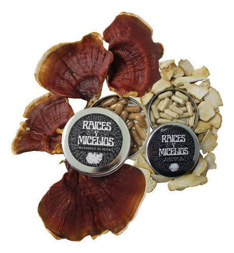 Melena León + Reishi 60 Capsulas De 250mg Envió Gratis 0