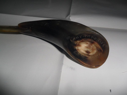 Abrecarta Cuerno Laboratorio Estrona Escribania Abrecartas 1