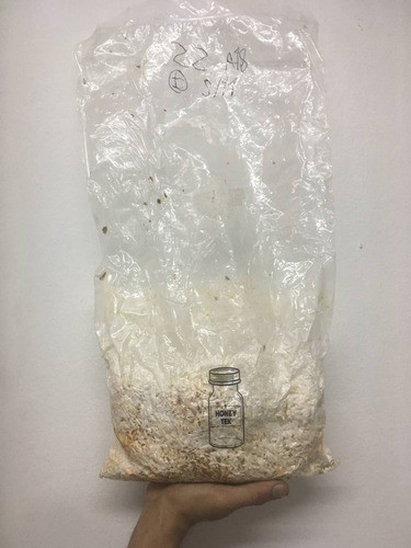 Grano Micelado X Kg / Girgolas 0