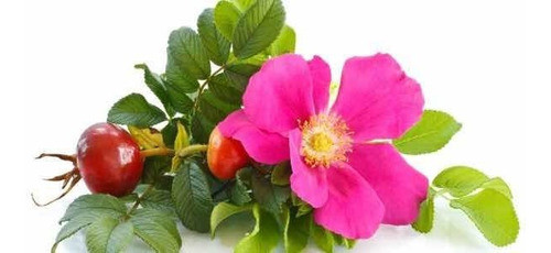 Aceite Rosa Mosqueta 30 Ml X 2 0