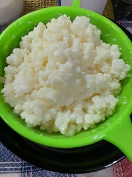 Kéfir, Yoka, Tibicos, Kéfir De Leche. 0