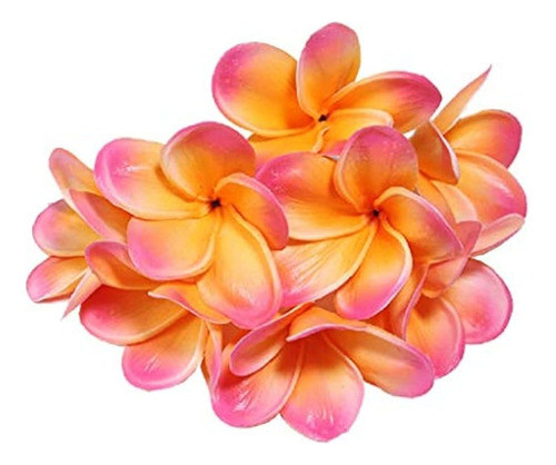 Xilyya 10pcs Cabeza De Flores De Plumeria De Tacto Real Natu 0