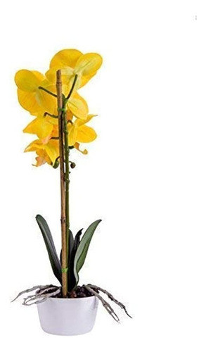 Imiee Phaleanopsis Arreglo Con Jarrón Decorativo De Orquídea 1