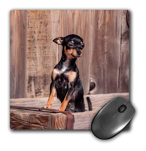 3drose Mouse Pad Chihuahua Standing In A Wooden Tub 8 X 1