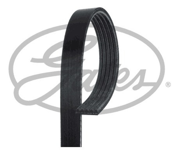 Correa Alternador Citroen - Peugeot Bx Zx Xsara 405 Berlingo 0