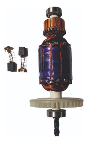 Rotor Y Carbones Dowen Pagio 9995228 0