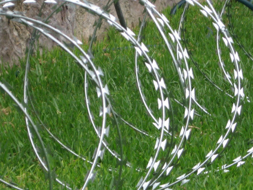 3 Rollos Alambre Concertina Doble Cruzada 45cm - (30mts) 1