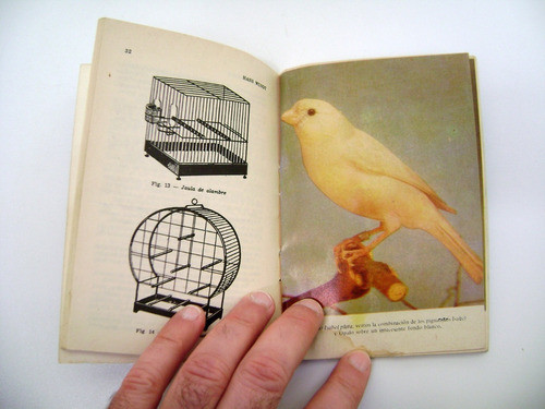Cria Del Canario Hans Wundt Libro Ave Pajaro Jaula Boedo 1