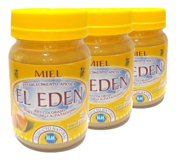 Miel Natural Multifloral Patagonica El Eden Pote De 500gr X3 0